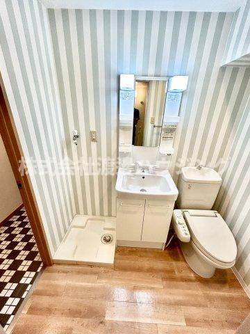 サングレートESAKAⅡの洗面所