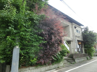 【外観】 | 緑に囲まれた、目を引く外観です。