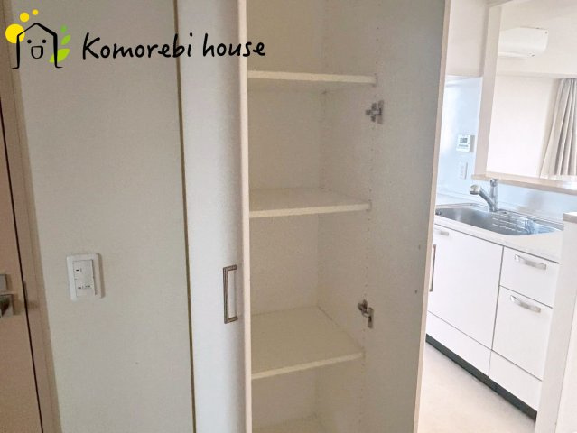 プラウド宮原ガーデニアの収納|ちょっとした収納スペースも充実しています