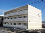 かなさんどーの画像