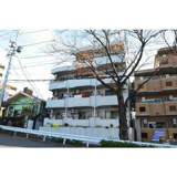 グレイス桜の画像