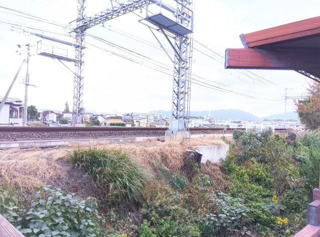 【展望】 | 新緑と光のカサ・フェリーチェ