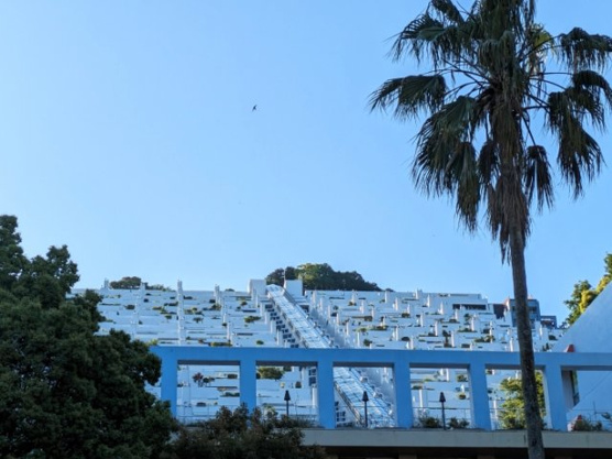 【外観】 | 熱海パサニアクラブ