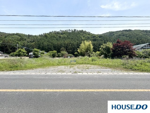 売土地　佐野市牧町の前面道路含む現地写真|陽当たりがいいです