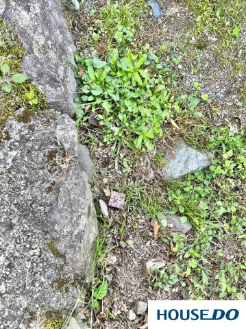 津市美杉町丹生俣　中古戸建の庭|お庭で自由な時間を過ごせます