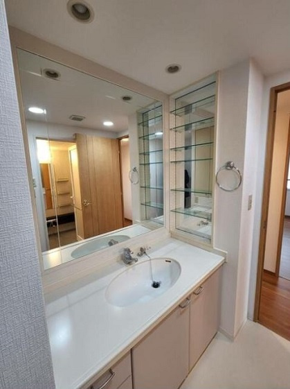 港区西麻布３丁目の賃貸マンションのその他|洗面