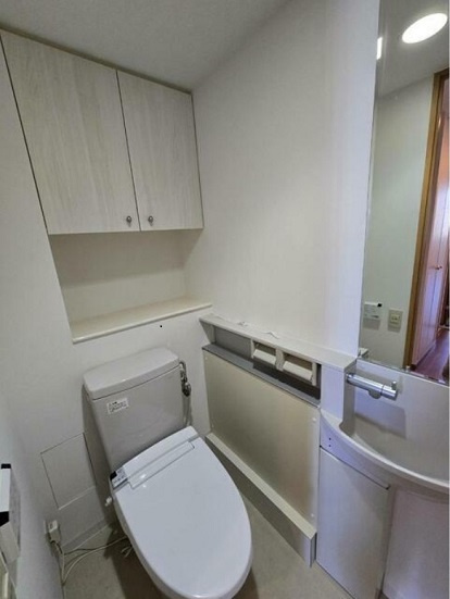 港区西麻布３丁目の賃貸マンションのその他|トイレ