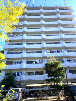 オクタワーズ松山道後の外観|どっしりと佇むRC造10階建てのマンション。旅館街を抜けた落ち着いた場所にあり、帰宅するたびに情緒を感じられそう。宅配ボックスなどの設備も整い、安全に守られている安心感の中で、軽やかに過ごせそう。