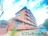 パストラル羽衣の画像
