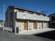 ホワイトシェルの画像