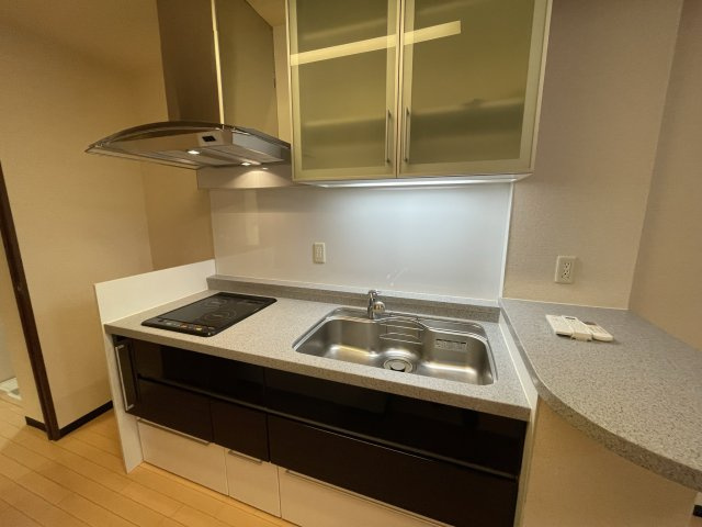 マスターズレジデンス道頓堀Ⅱのキッチン|(参考)同マンション同間取り他部屋の写真