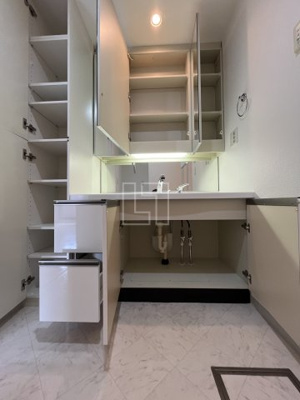 【独立洗面台】 | ロイヤルパークス桃坂 | ロイヤルパークス桃坂　独立洗面台