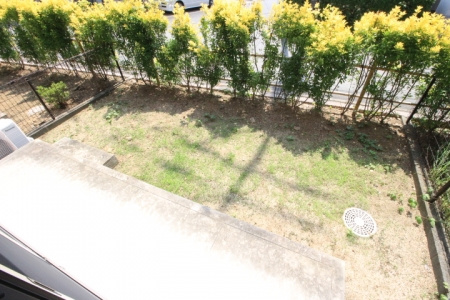 サンライフ市の玉【キャッシュバック対象】の庭|お庭です