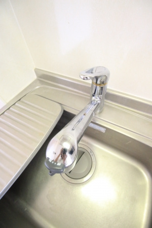 サンライフ市の玉【キャッシュバック対象】のその他