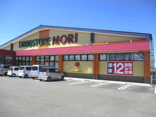 菊池市隈府　売土地の周辺|ドラツグモリ菊池店・グッデイ菊池店まで徒歩10分
