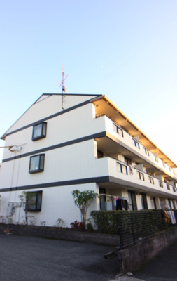 【外観】 | ニュー・トリヴァンベール