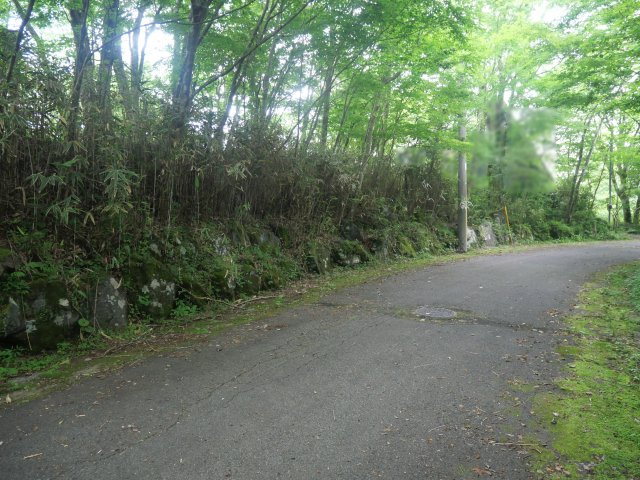 十里木南富士別荘地①の前面道路含む現地写真