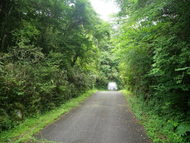十里木南富士別荘地②の前面道路含む現地写真