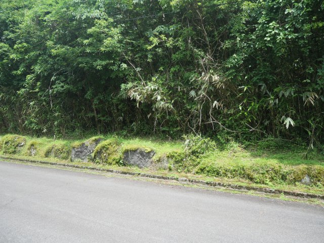 富士急十里木高原別荘地⑫　あしたか
