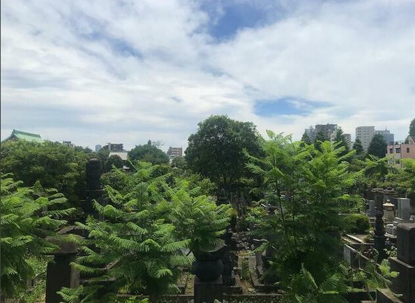 【展望】