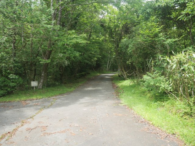 富士急十里木高原別荘地⑬　十里木の前面道路含む現地写真