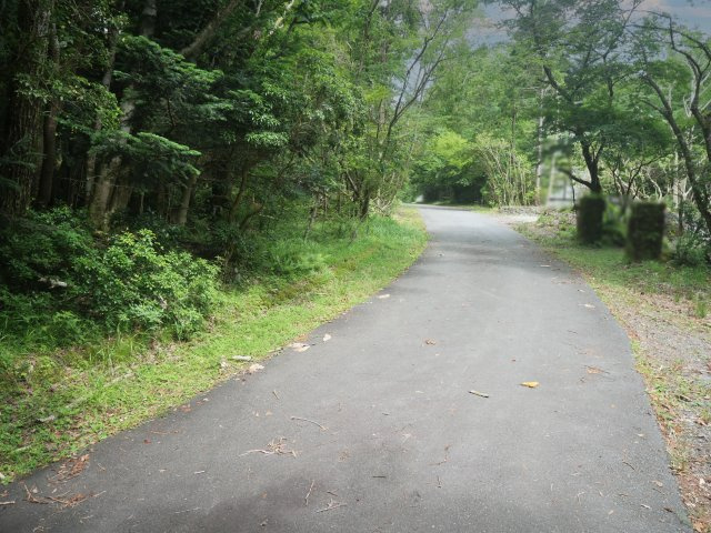 富士急十里木高原別荘地⑬　十里木の前面道路含む現地写真
