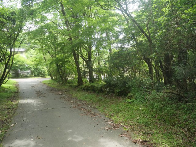 富士急十里木高原別荘地⑬　十里木の前面道路含む現地写真