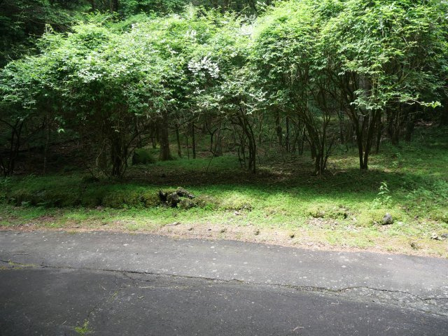 富士急十里木高原別荘地⑭　芙蓉の森林