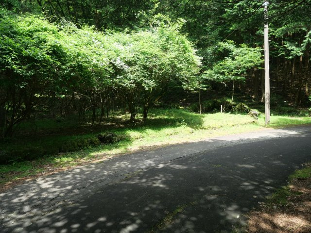富士急十里木高原別荘地⑭　芙蓉の森林の前面道路含む現地写真
