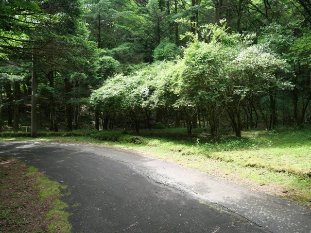 富士急十里木高原別荘地⑭　芙蓉の森林の前面道路含む現地写真