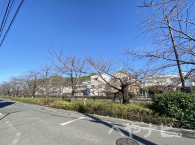 【展望】 | 瑞穂区御莨町貸家 | ★山崎川が目の前なので、春はきれいな桜並木になります