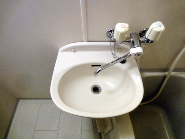 レオパレスＹａｍａｍｏｔｏの洗面所