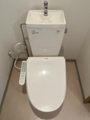 【トイレ】 | アネシスサイトウ | 別部屋写真です。