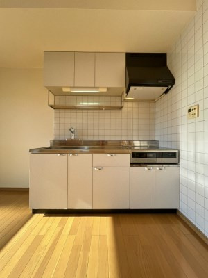 アネシスサイトウのキッチン|別部屋写真です。