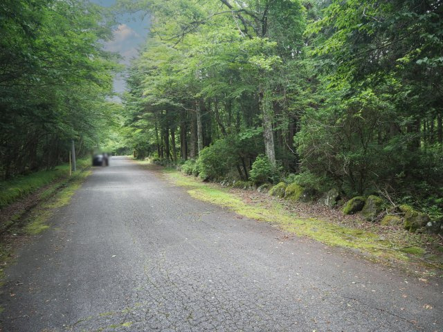 富士急十里木高原別荘地⑮　芙蓉の森林