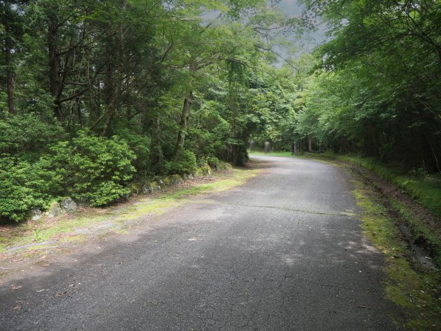 富士急十里木高原別荘地⑮　芙蓉の森林の前面道路含む現地写真