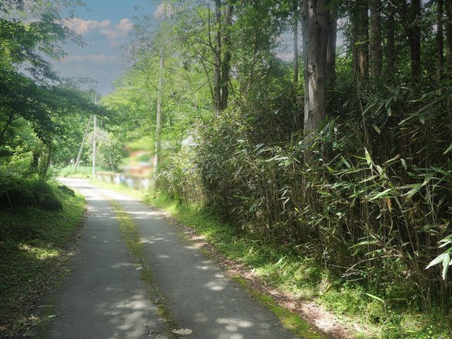 富士急十里木高原別荘地⑯　十里木の前面道路含む現地写真