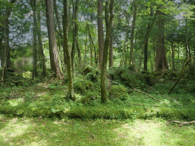 富士急十里木高原別荘地⑰　十里木