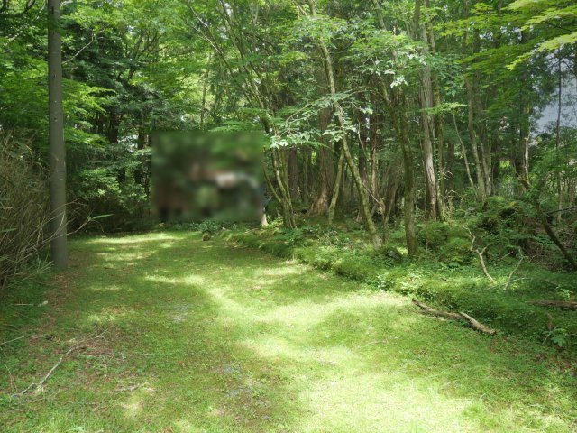 富士急十里木高原別荘地⑰　十里木の前面道路含む現地写真