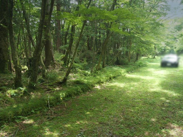 富士急十里木高原別荘地⑰　十里木の前面道路含む現地写真