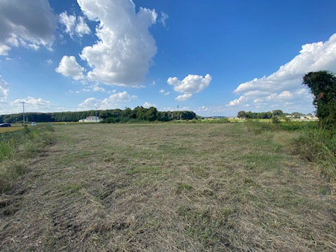 下野市花田　土地の外観
