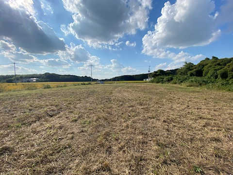 下野市花田　土地の外観