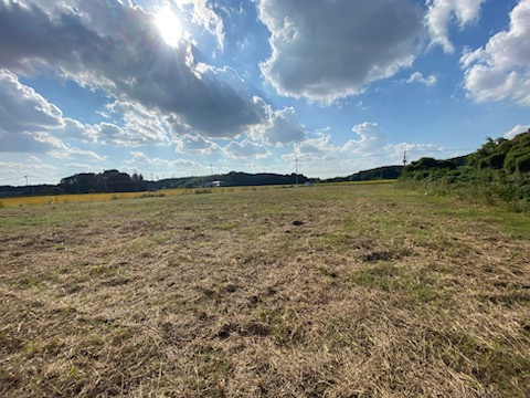下野市花田　土地の外観