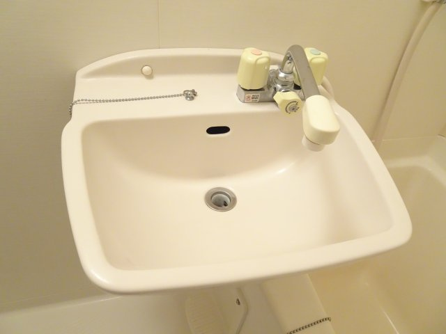 フラッツBの洗面所