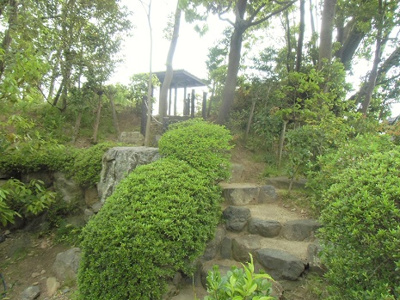 【その他共用部分】 | グランスイート近江・臨湖庵 | 庭２