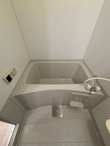 大阪市西区本田１丁目の賃貸マンションの浴室