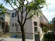 ヌイカマナの画像