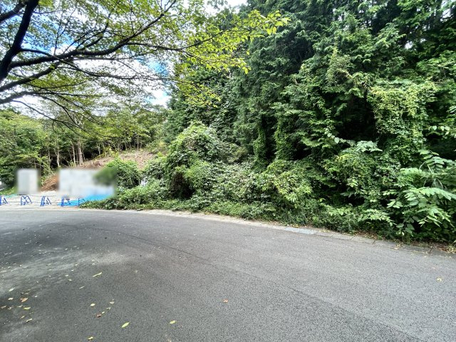 エンゼルフォレスト伊豆富士見高原小松ヶ原①