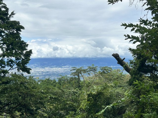 エンゼルフォレスト伊豆富士見高原小松ヶ原①のその他|眺望