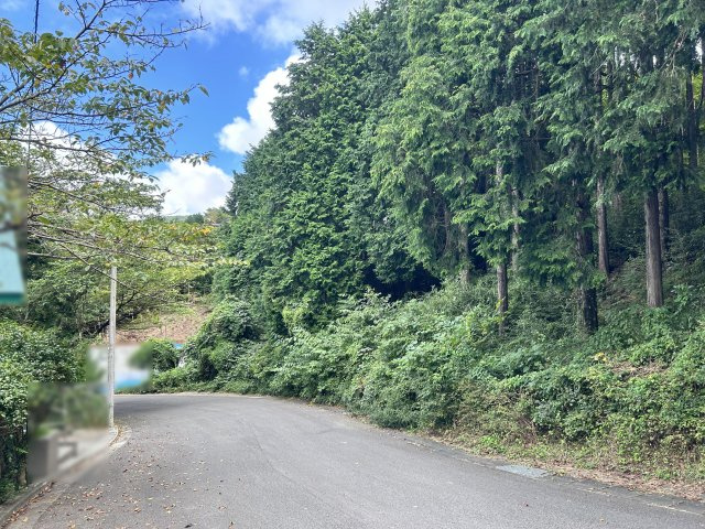 エンゼルフォレスト伊豆富士見高原小松ヶ原①の前面道路含む現地写真